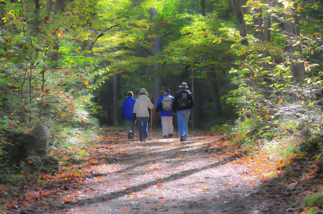 Wandern in der Oberpfalz